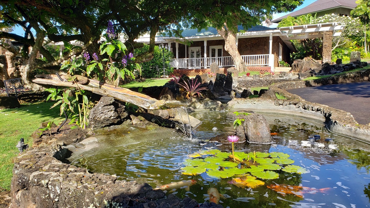 Photo of Others in Poipu