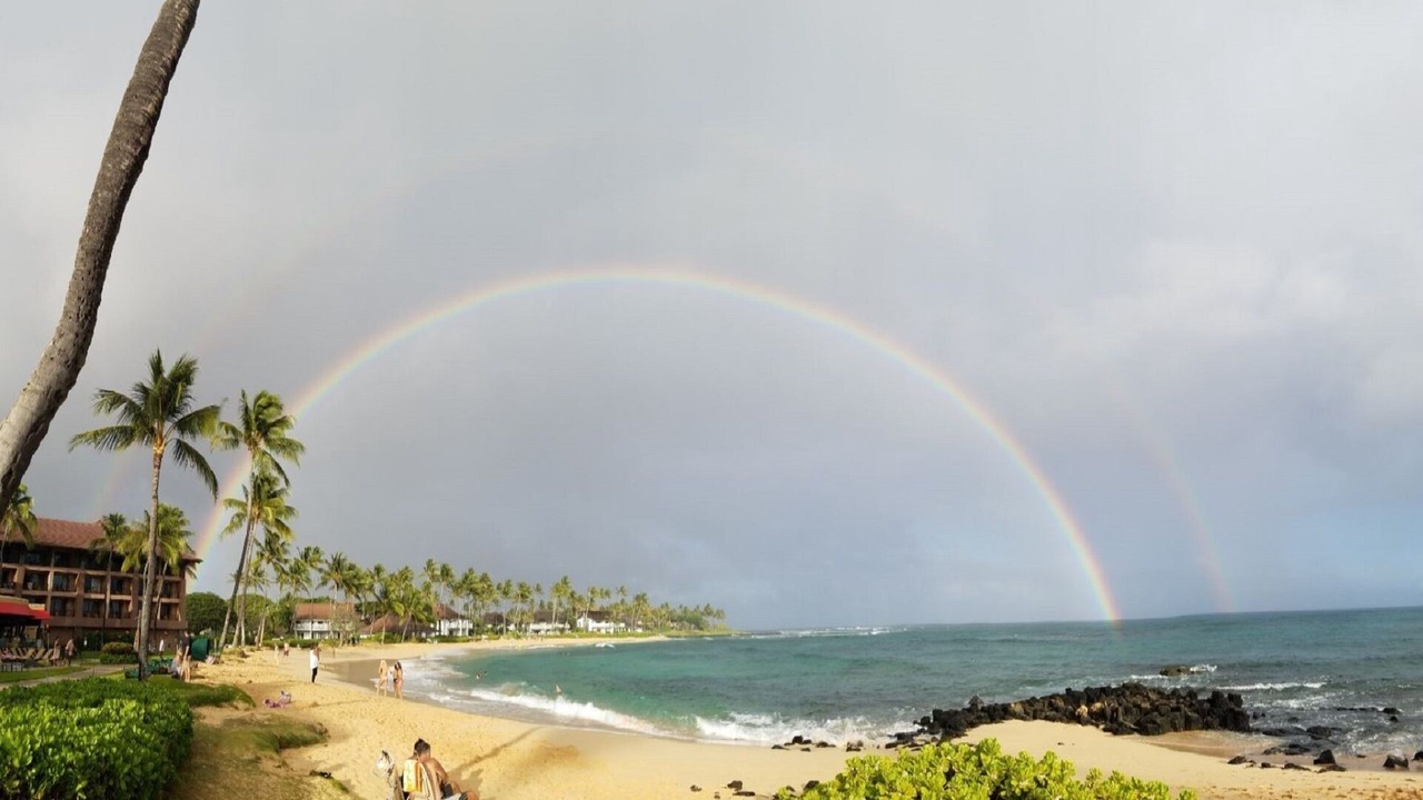 Photo of Others in Poipu