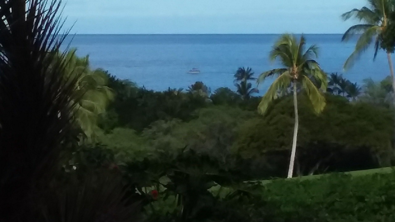 Photo of Outdoor in Keauhou