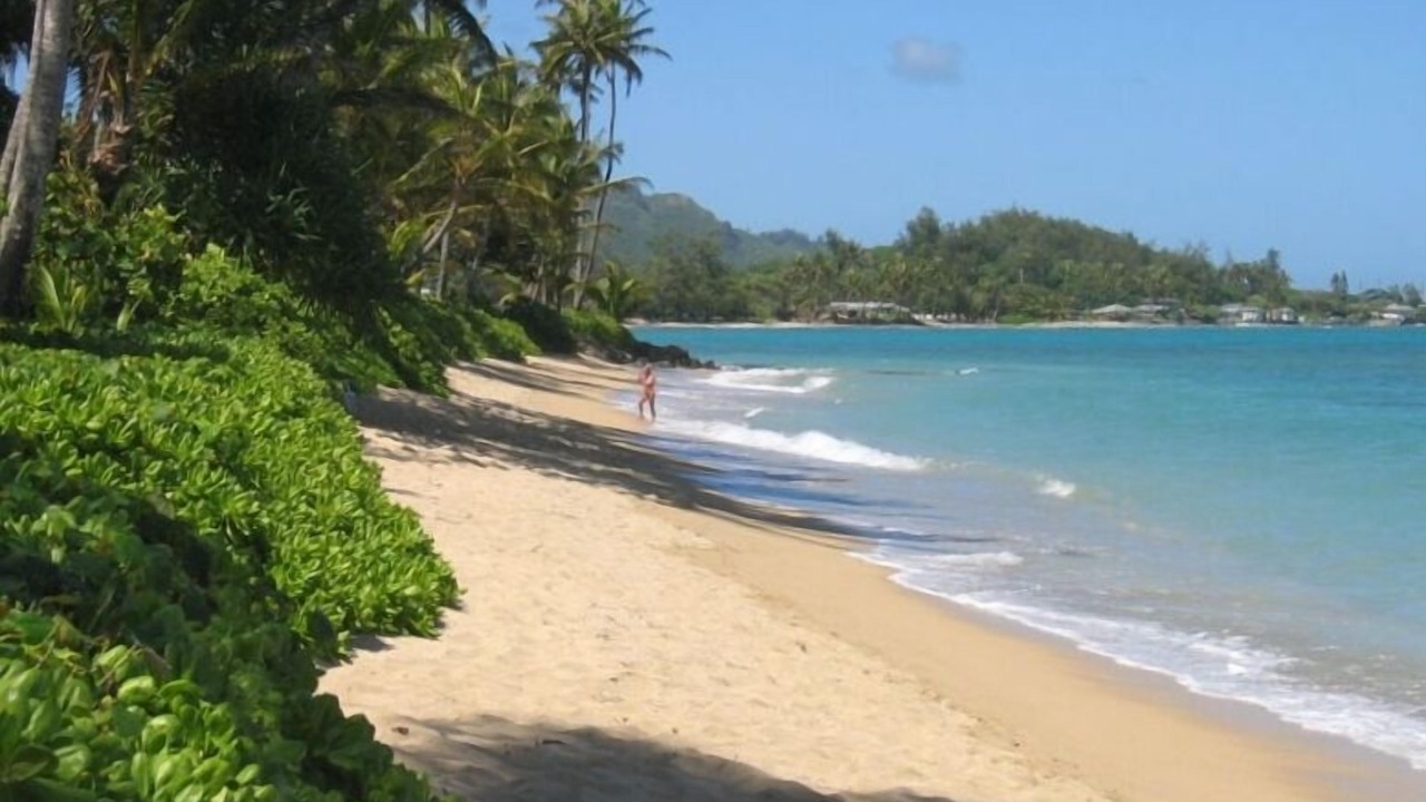 Photo of Others in Punaluu