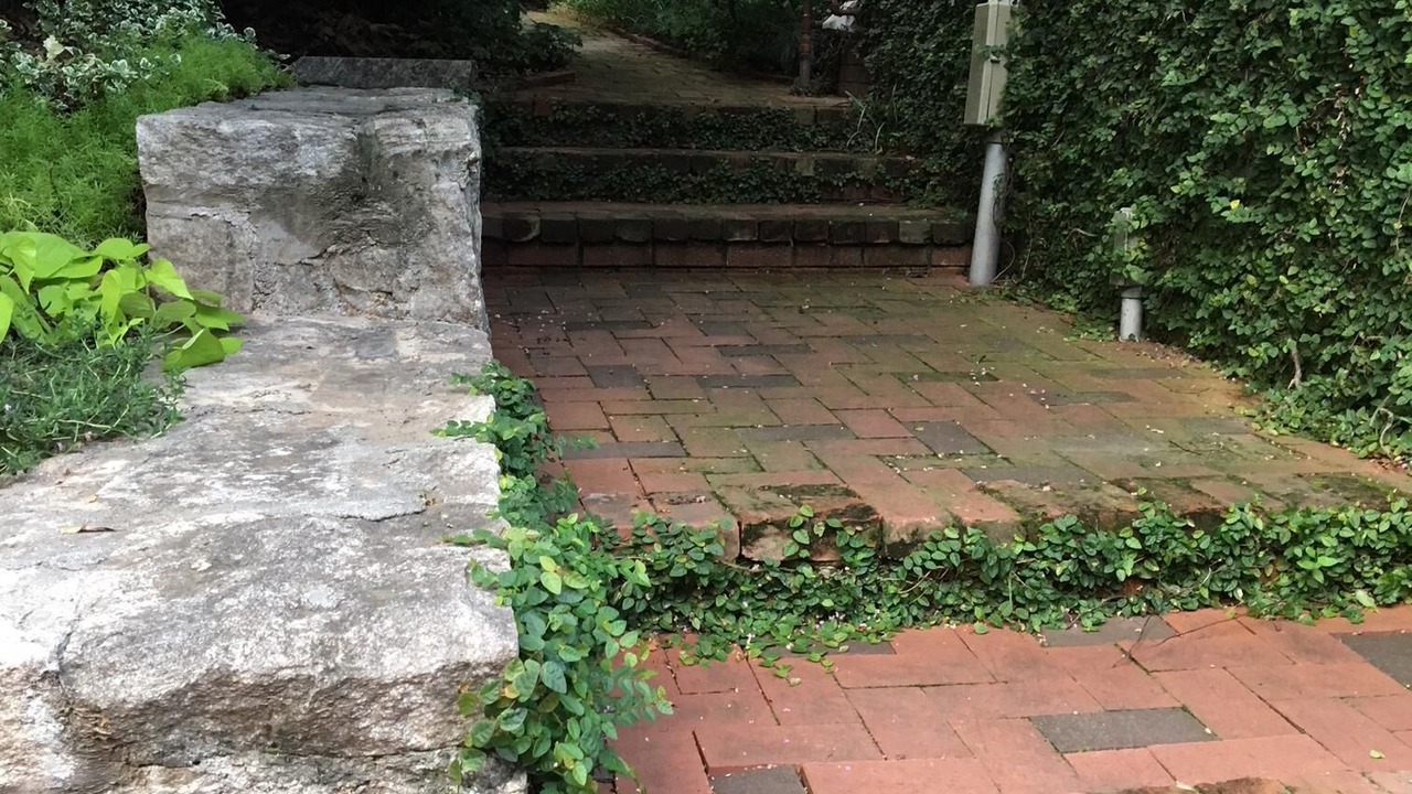 Photo of Outdoor in Midtown