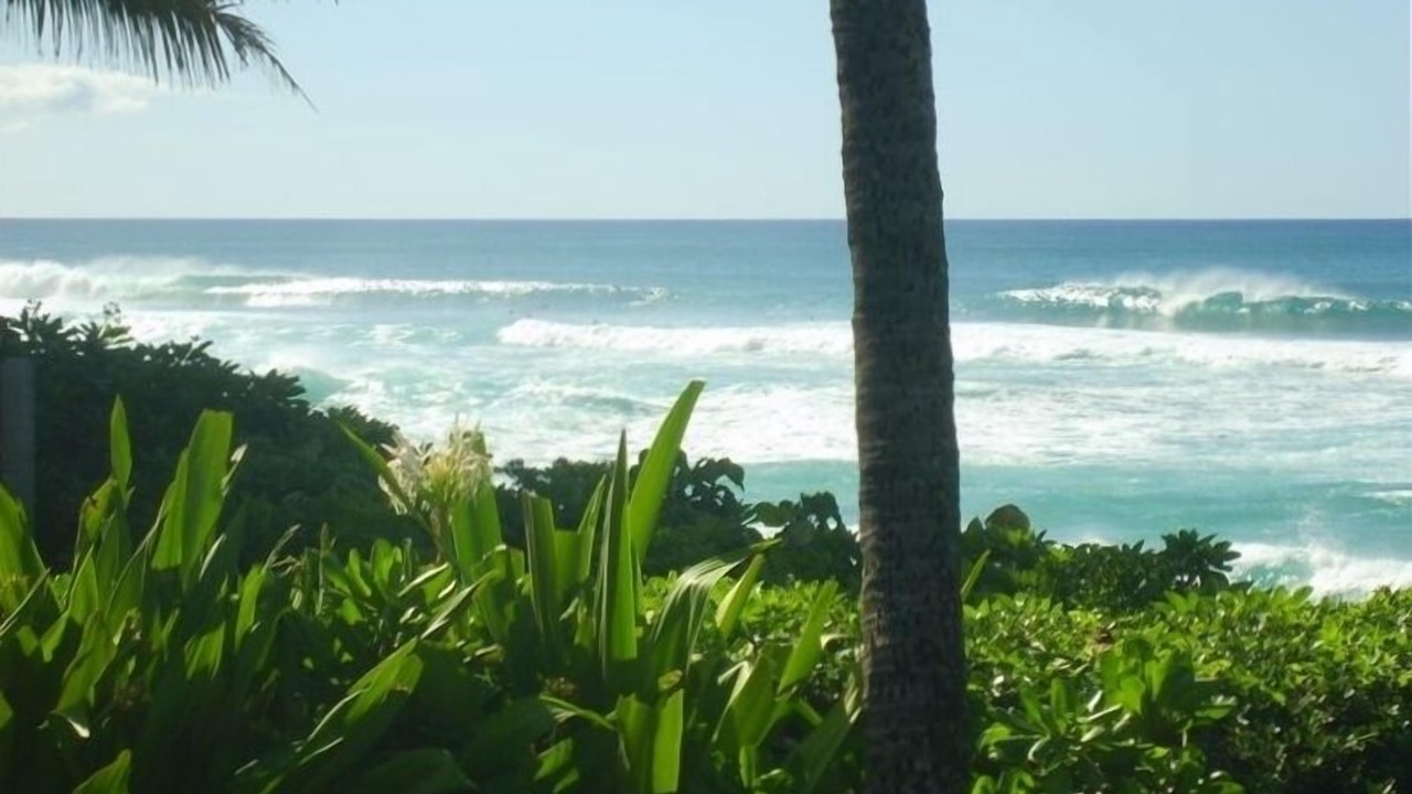 Photo of Others in Pupukea