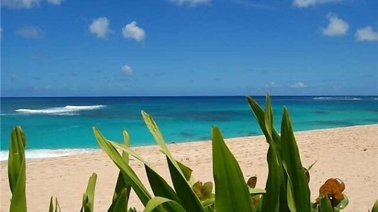 Photo of Others in Pupukea
