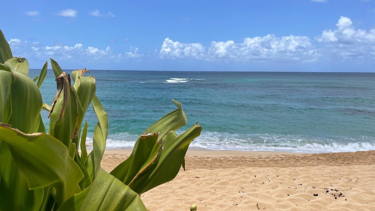 Photo of Others in Pupukea