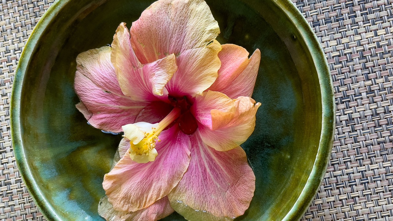 Photo of Others in Holualoa