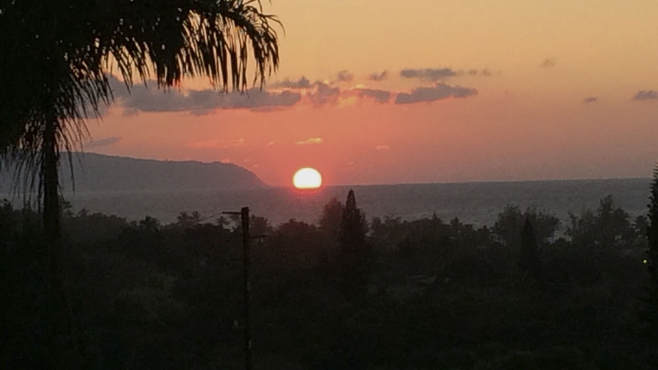 Photo of Others in Pupukea