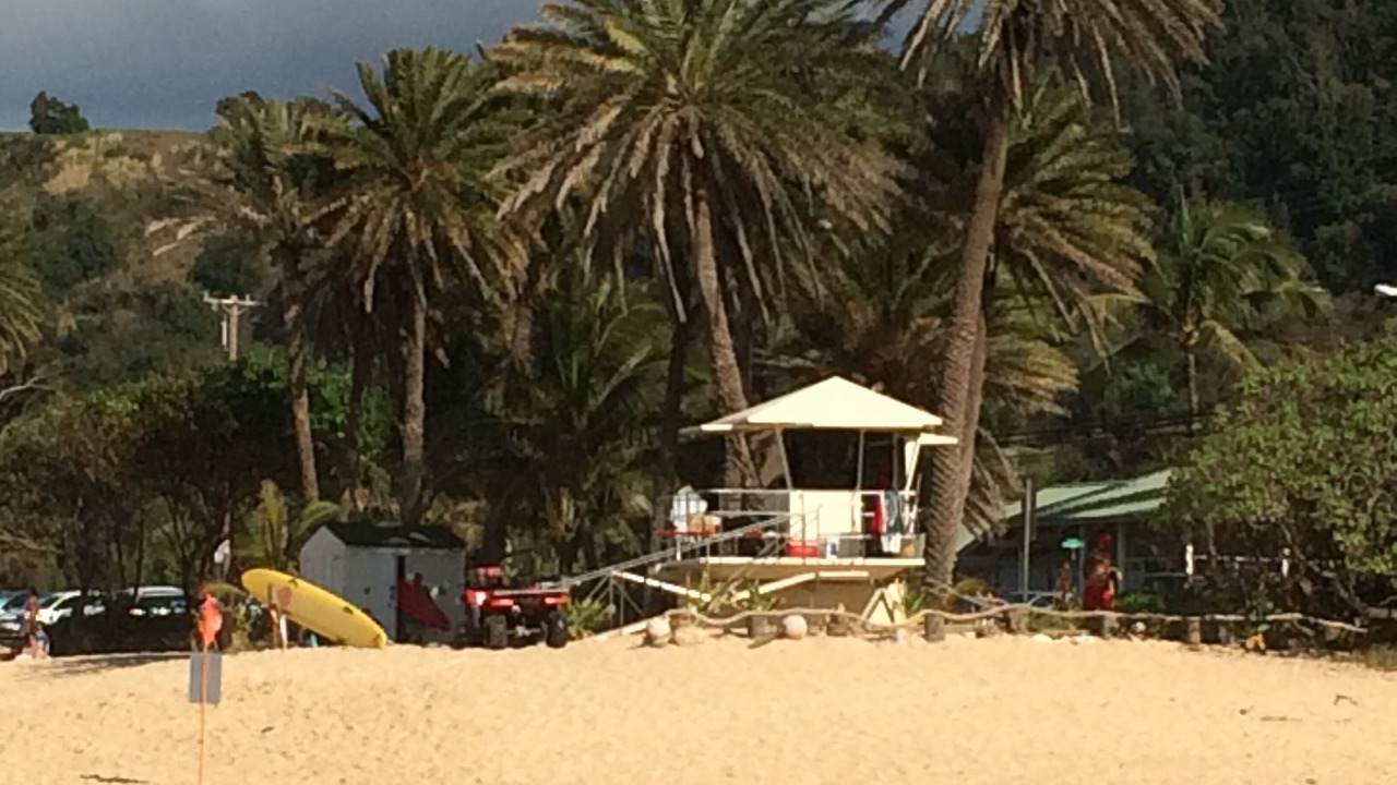 Photo of Others in Pupukea