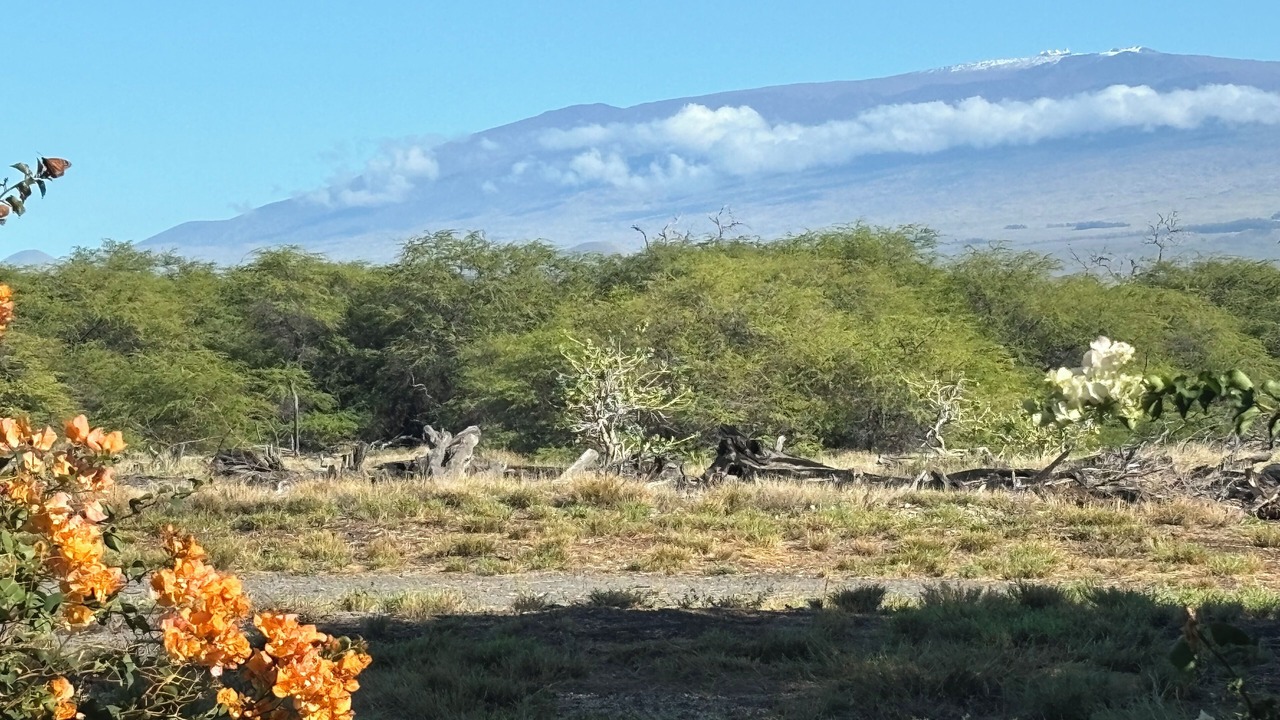 Photo of Others in Kamuela