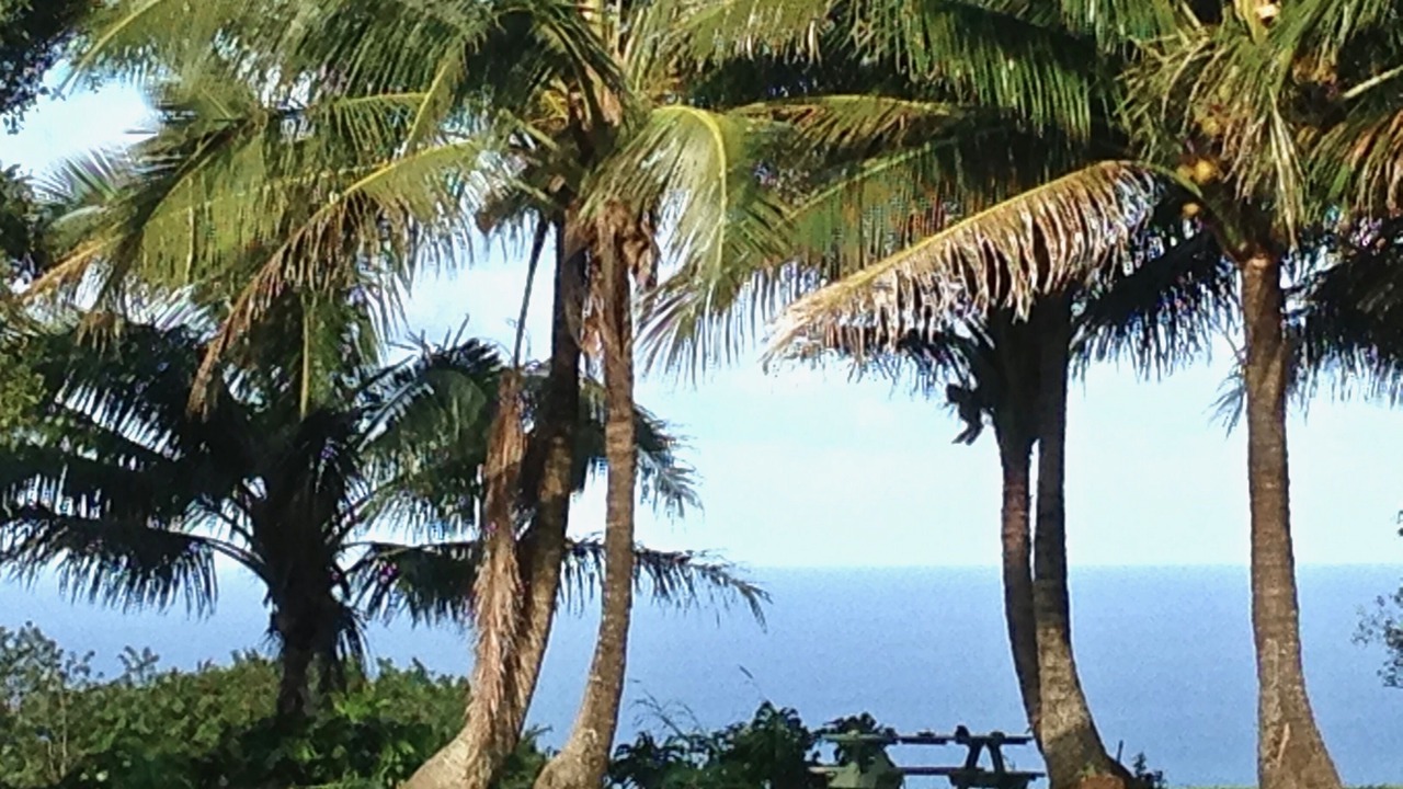 Photo of Others in Honokaa