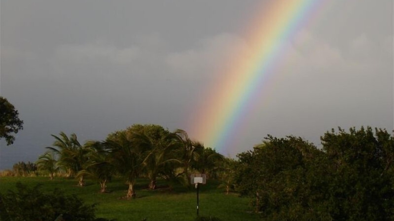 Photo of Others in Honokaa