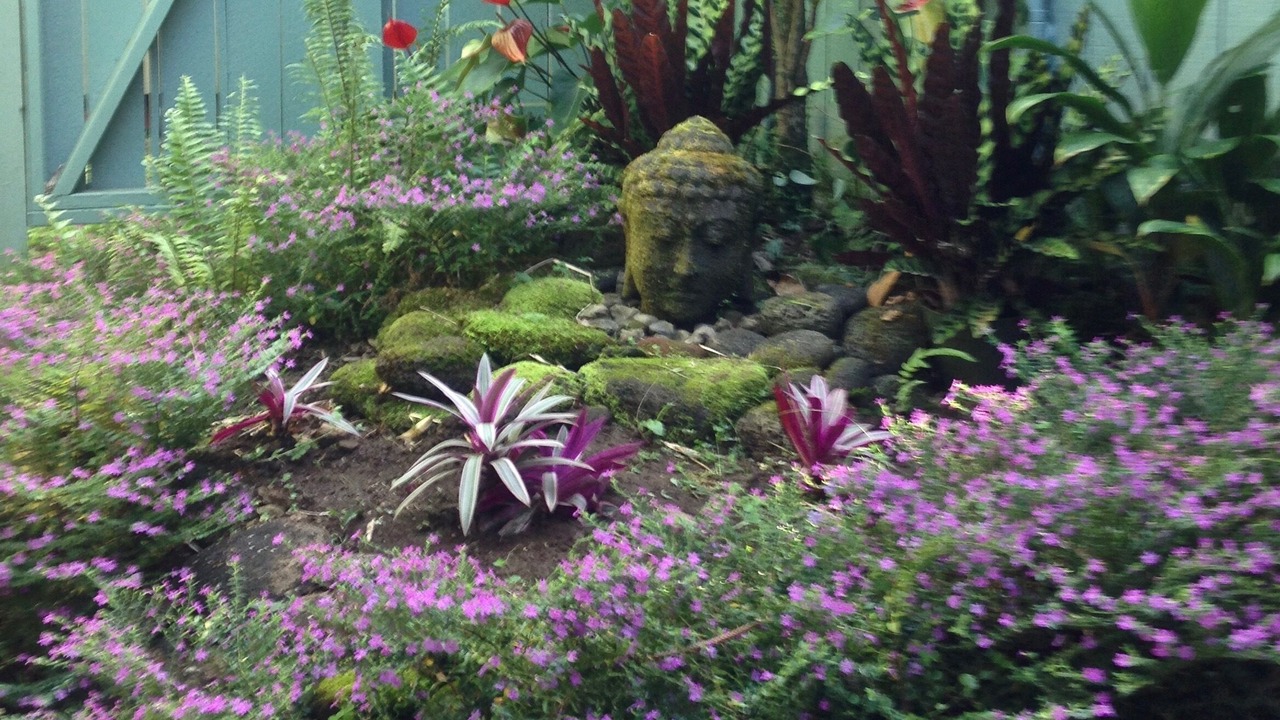 Photo of Outdoor in Honokaa