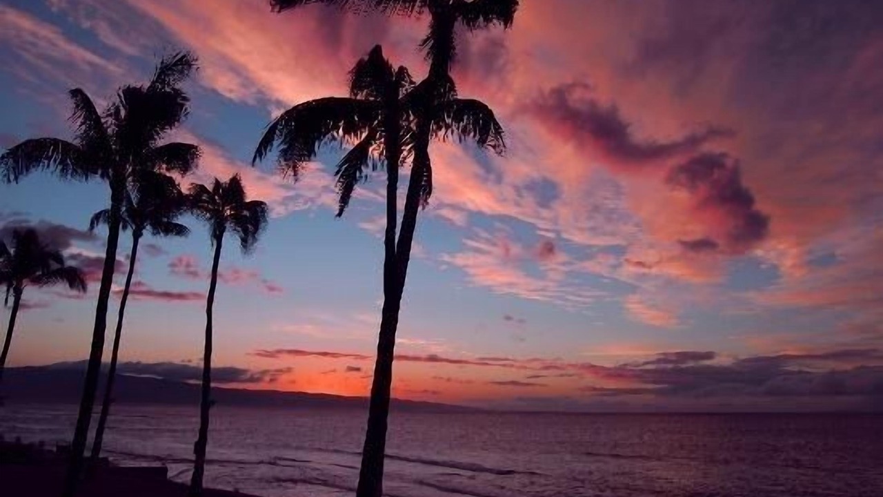 Photo of Others in Honokowai