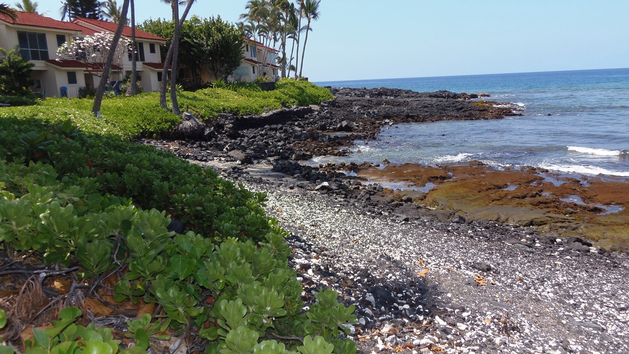 Photo of Others in Kahaluu-Keauhou