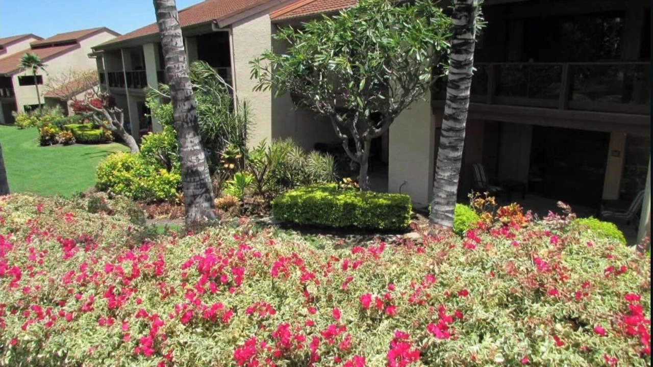 Photo of Outdoor in Waikoloa