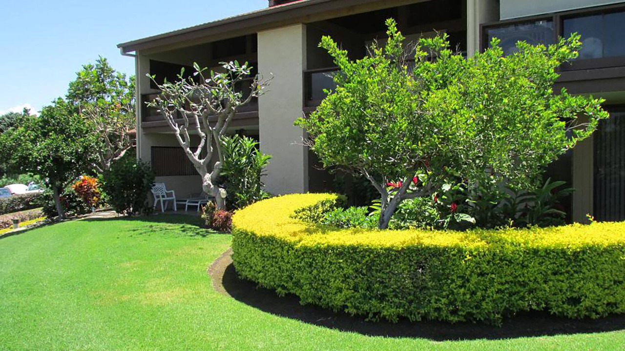 Photo of Outdoor in Waikoloa