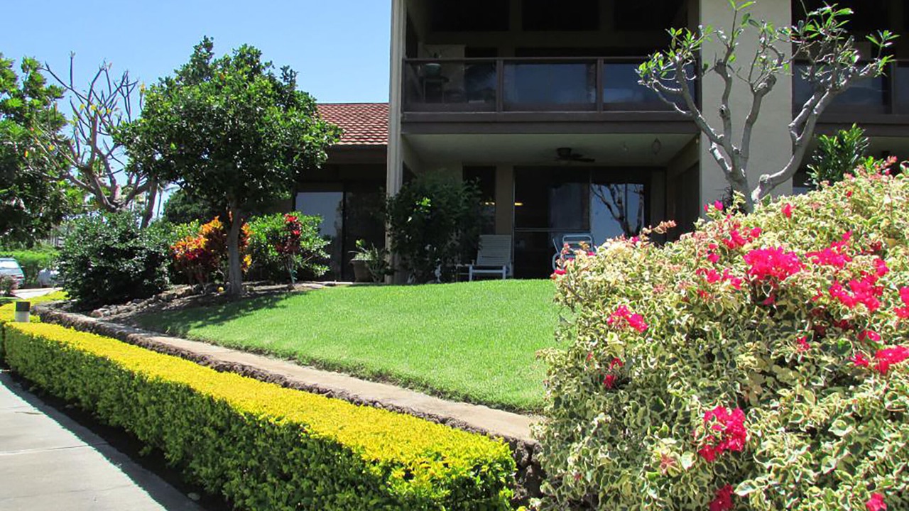 Photo of Outdoor in Waikoloa