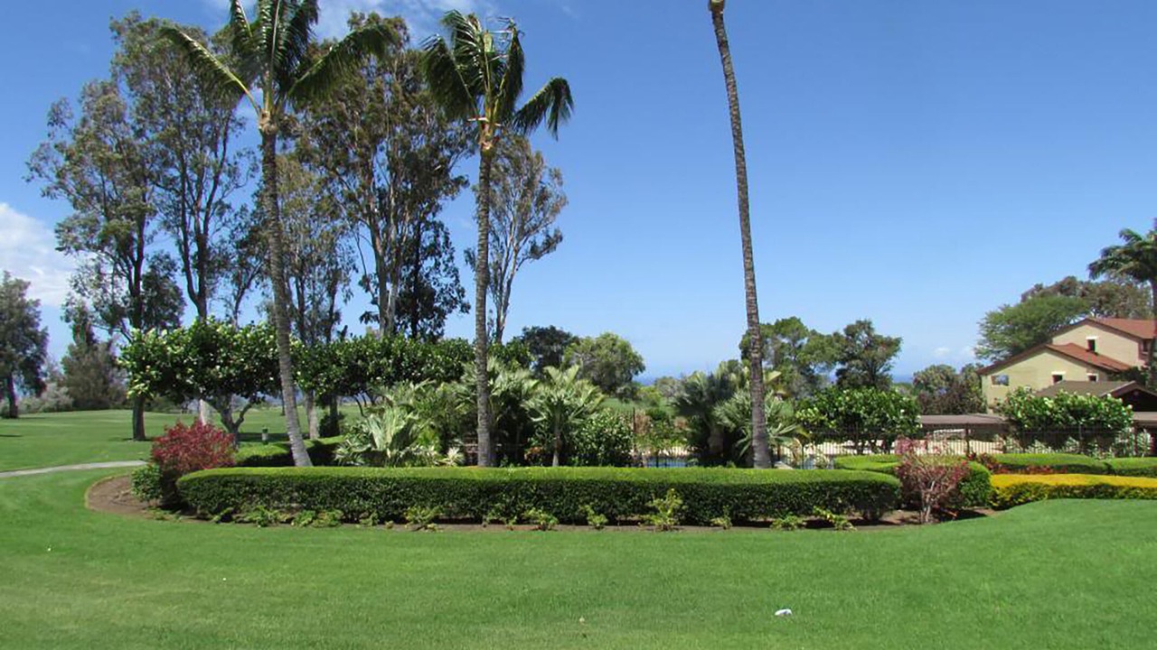 Photo of Outdoor in Waikoloa