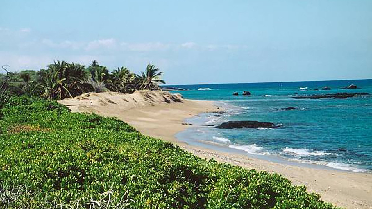 Photo of Others in Waikoloa