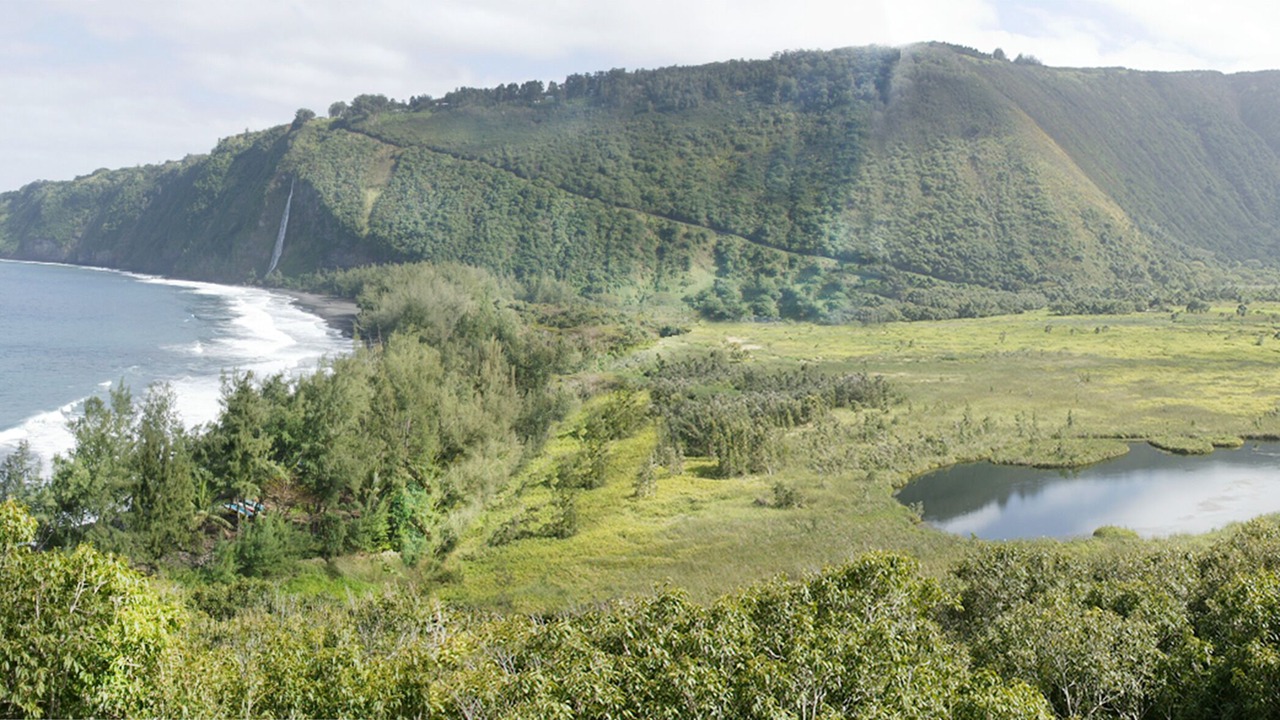 Photo of Others in Honokaa