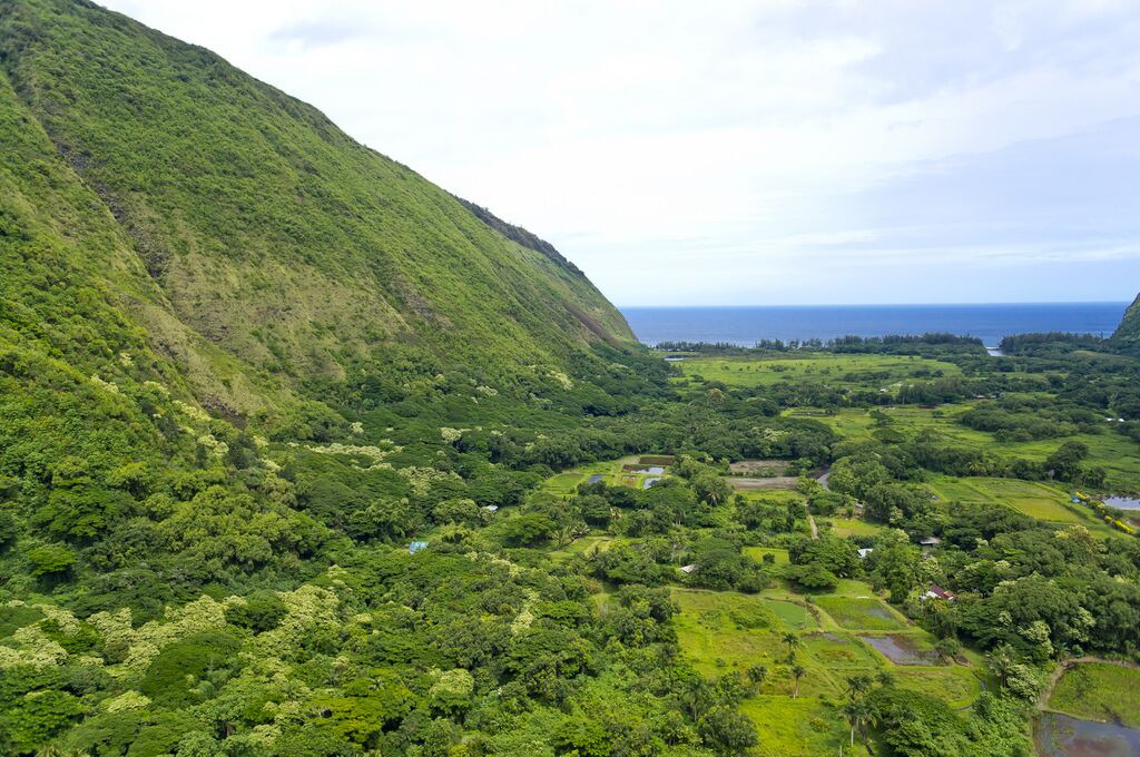 Photo of Others in Honokaa