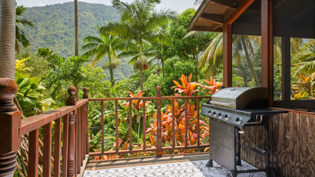 Photo of Outdoor in Honokaa