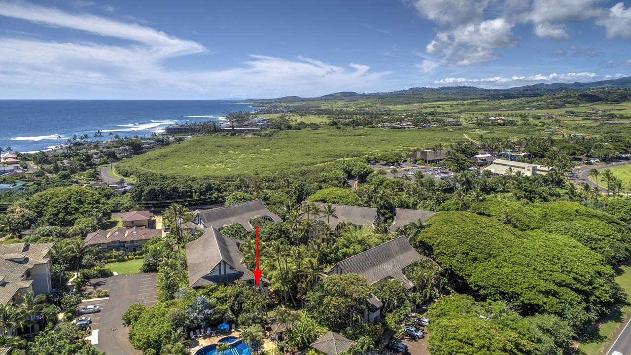 Photo of Others in Poipu