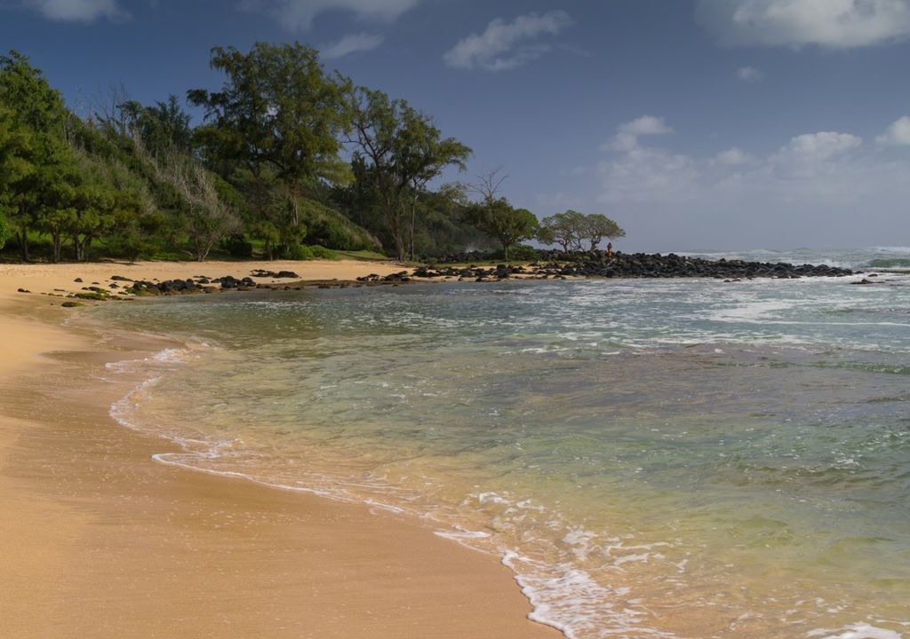 Photo of Others in Poipu