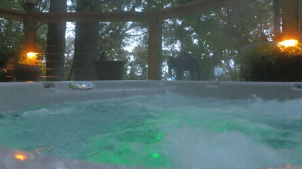 Photo of Outdoor in Asheville