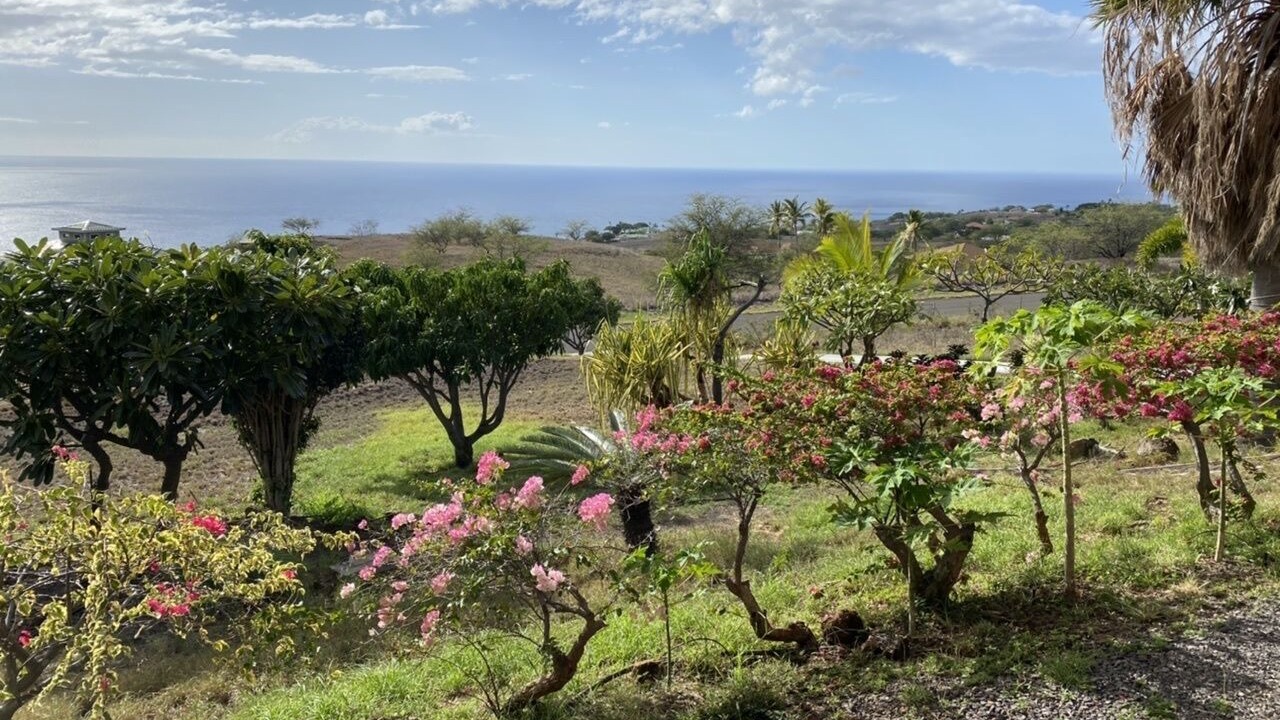 Photo of Outdoor in Kohala Estates