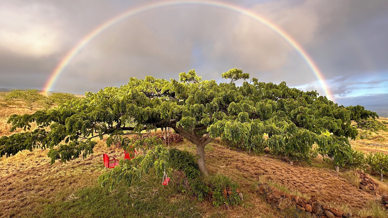 Photo of Outdoor in Kohala Estates