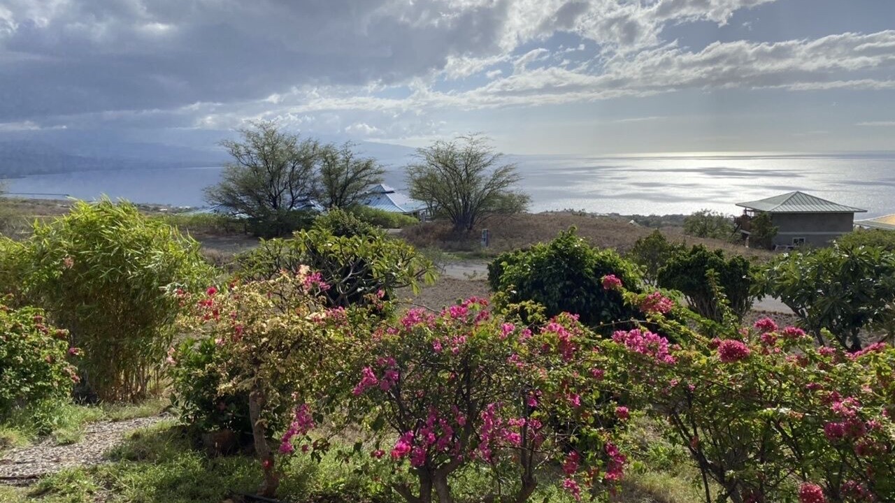 Photo of Outdoor in Kohala Estates