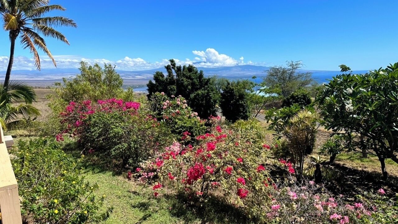 Photo of Others in Kohala Estates