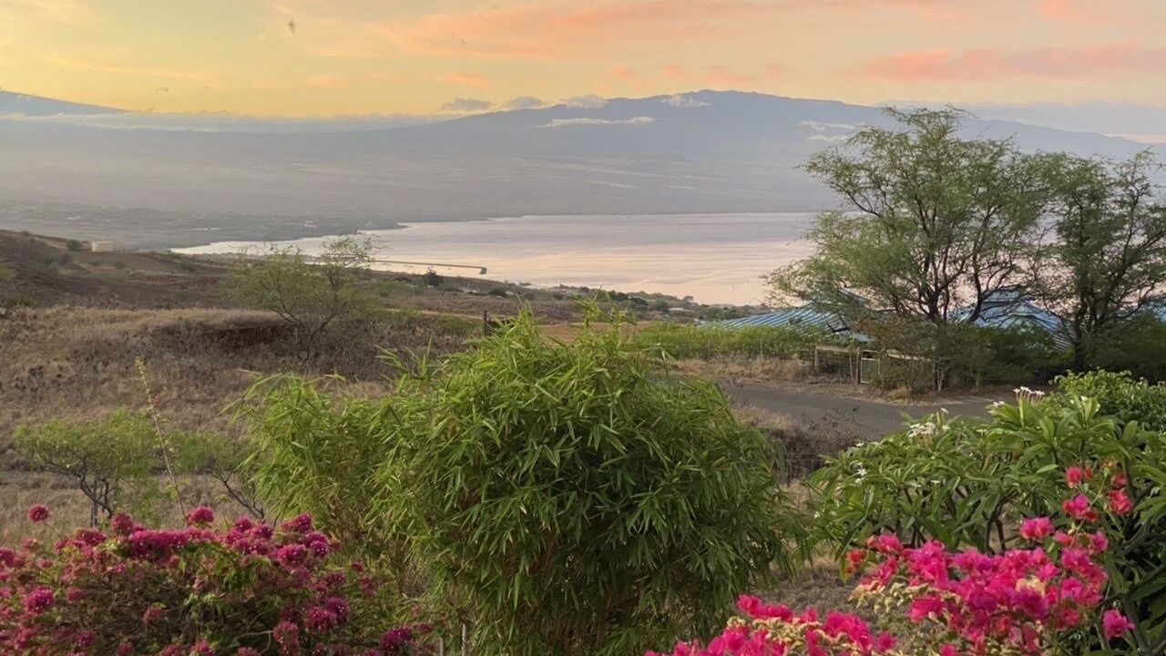 Photo of Outdoor in Kohala Estates