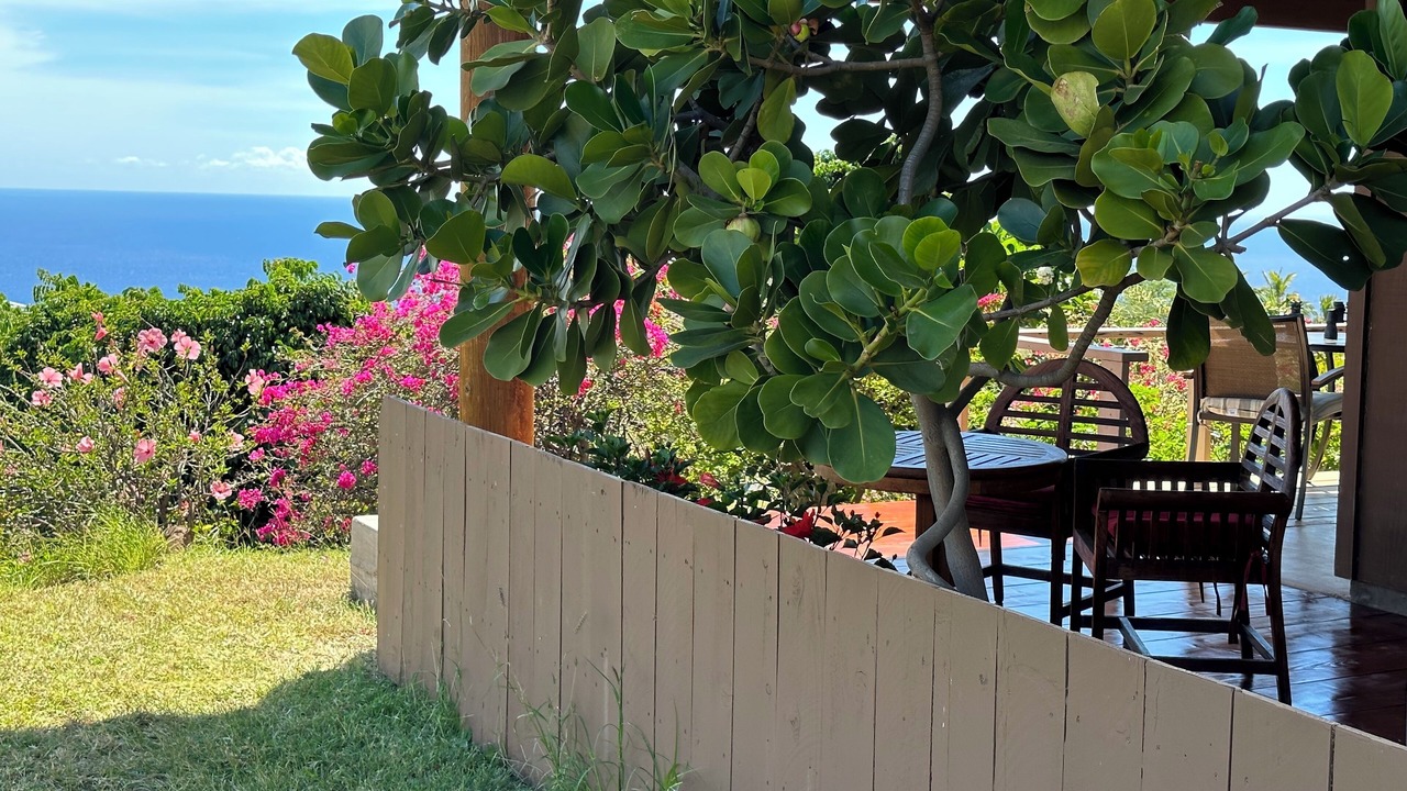 Photo of Outdoor in Kohala Estates