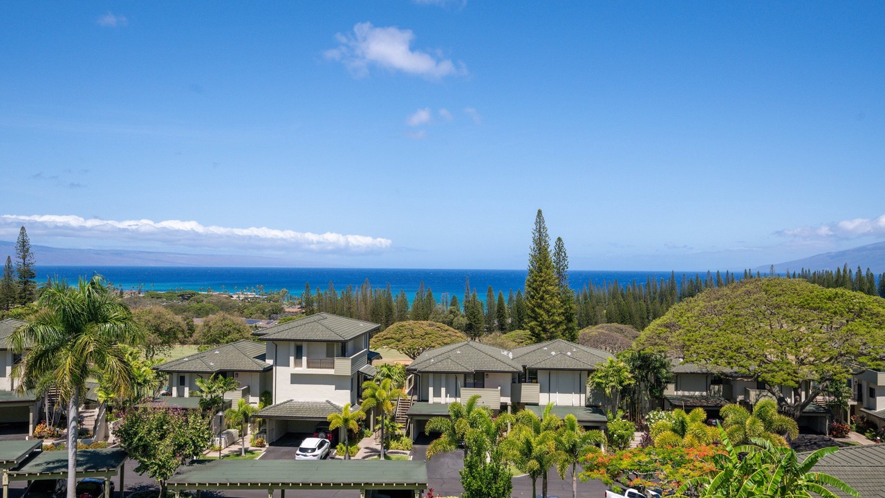 Photo of Outdoor in Kapalua