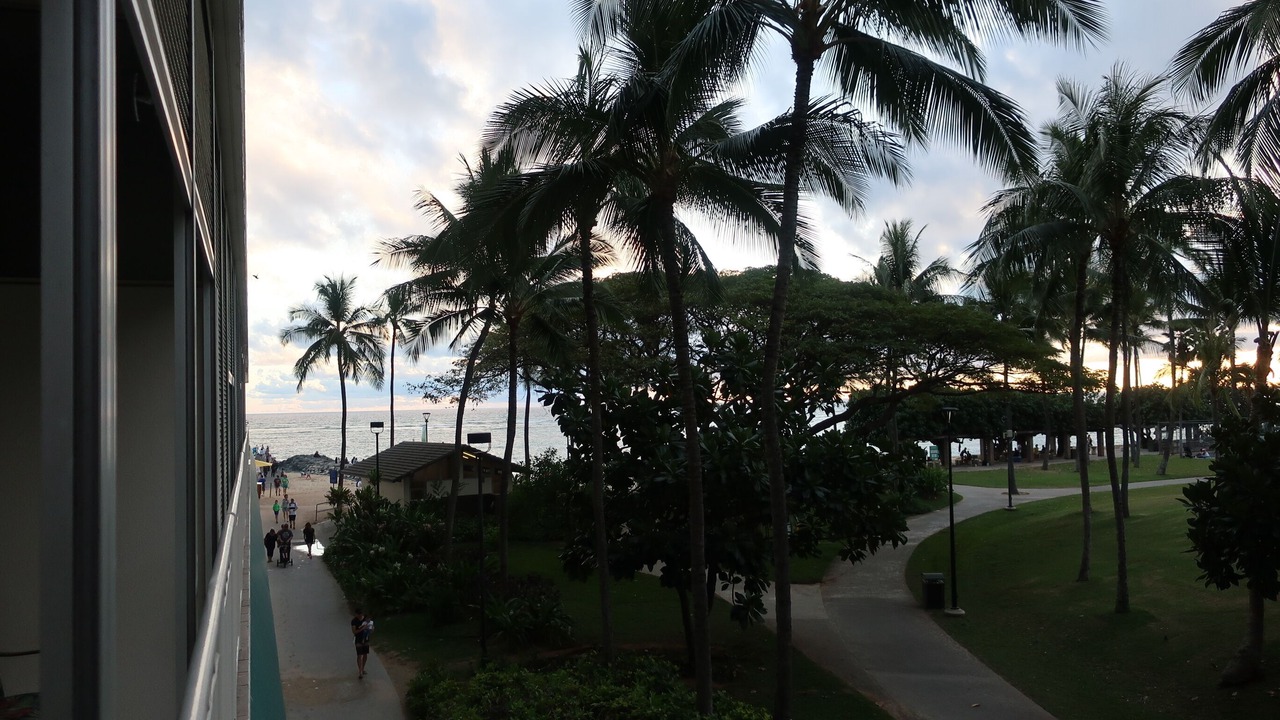Photo of Outdoor in Waikiki