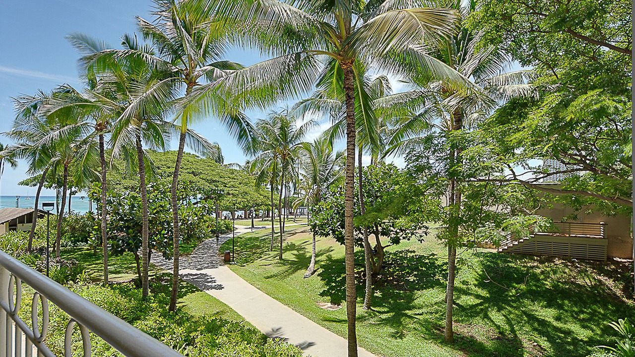 Photo of Outdoor in Waikiki