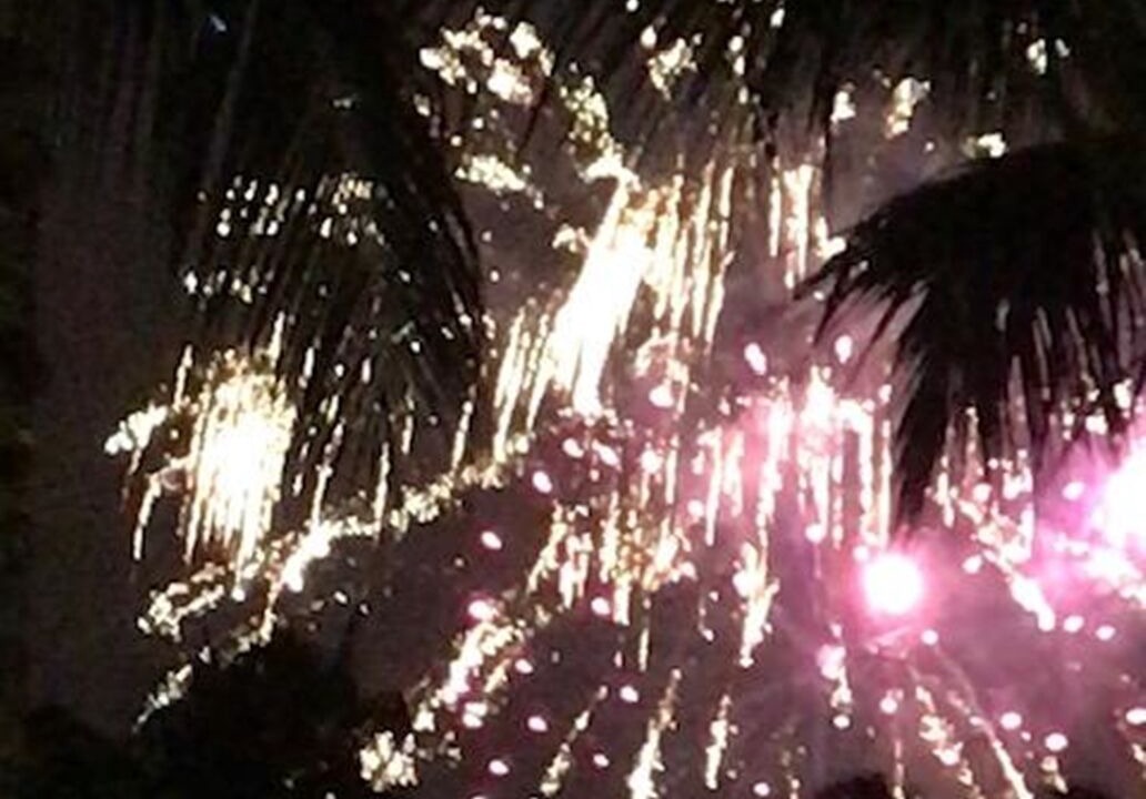 Photo of Others in Waikiki