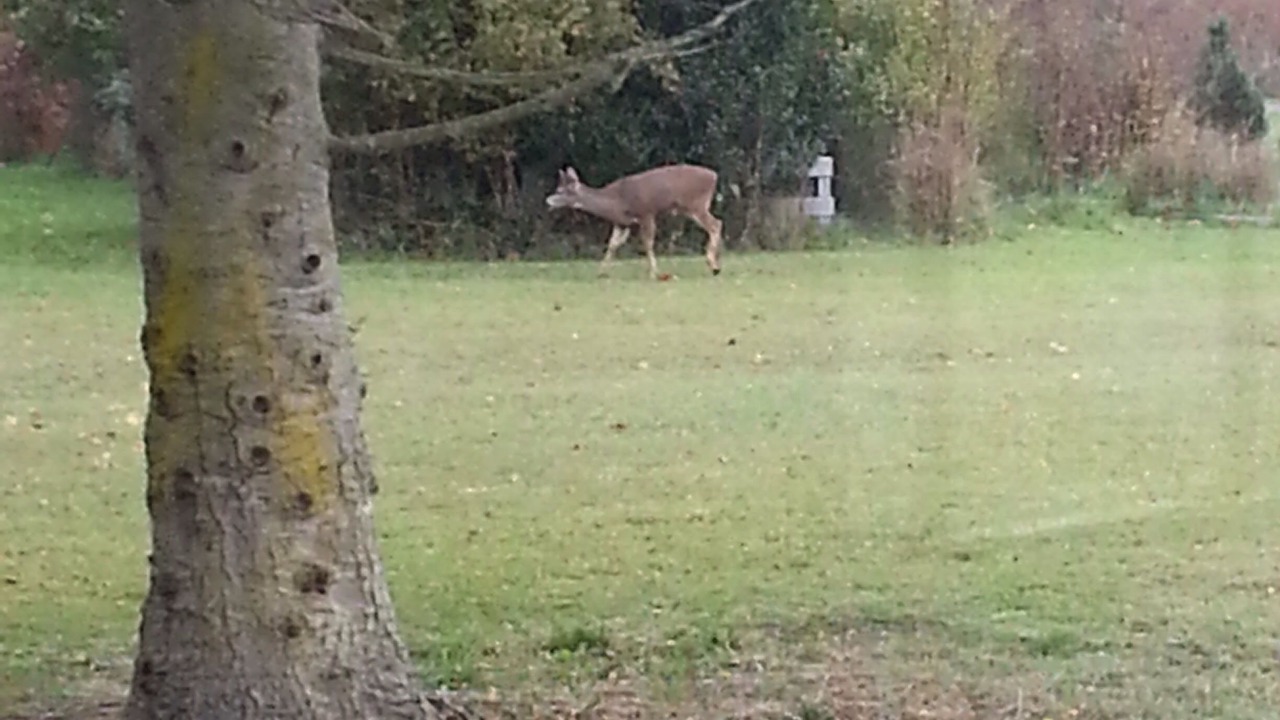 Photo of Others in Sequim