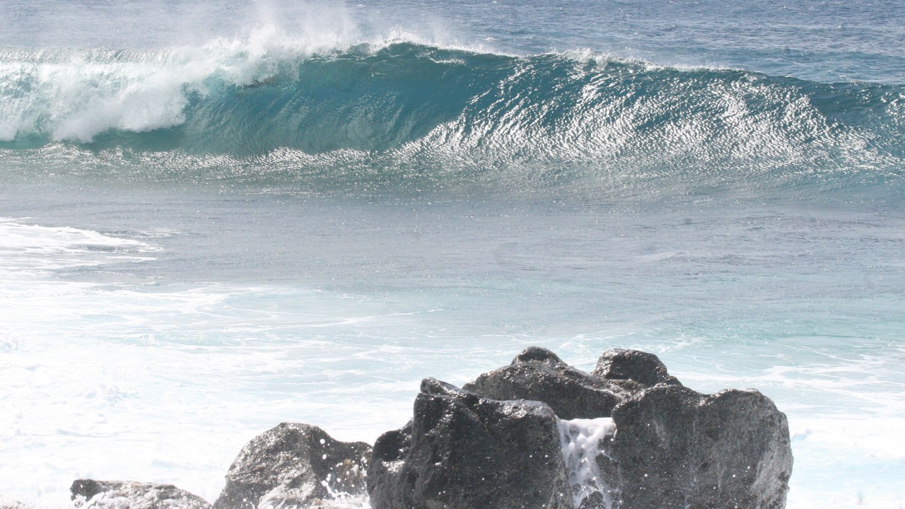 Photo of Others in Pupukea