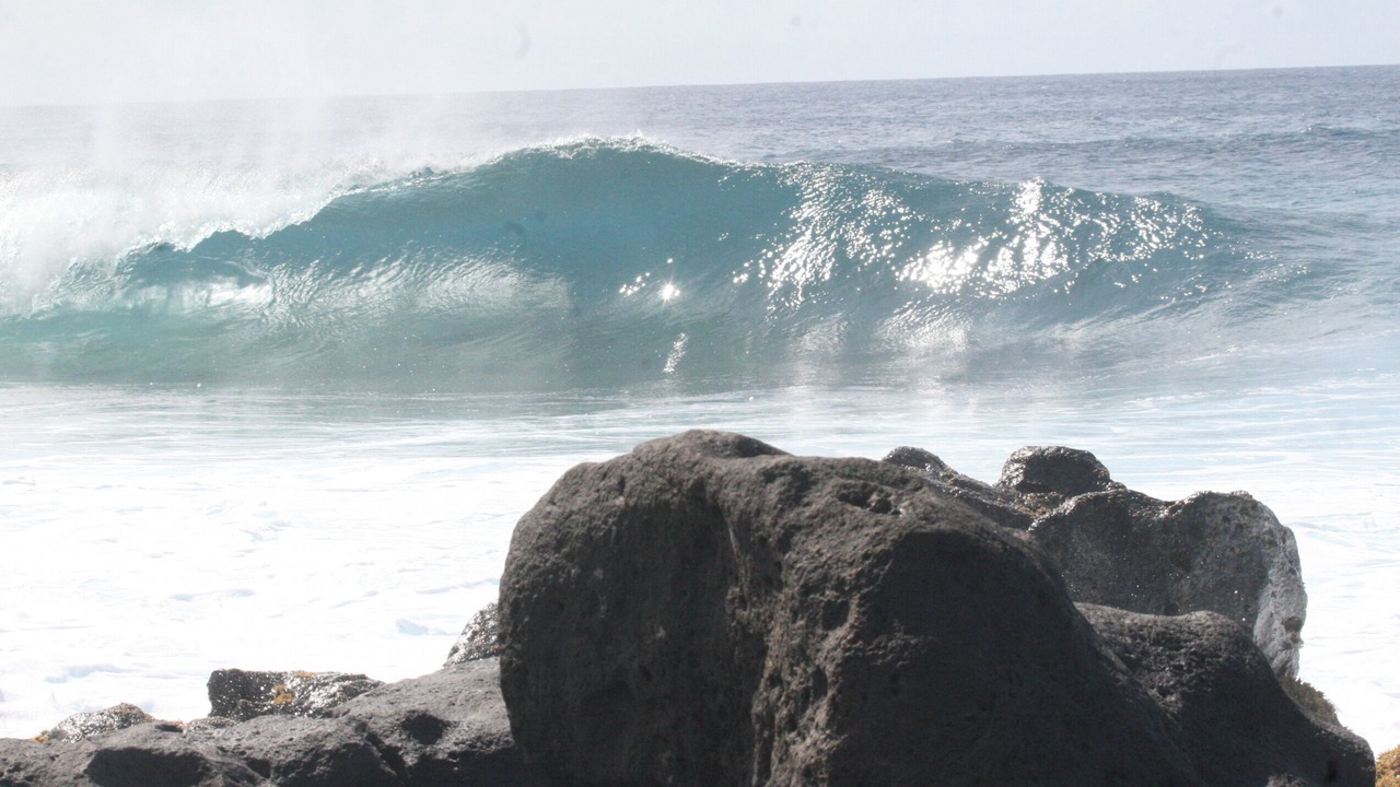 Photo of Others in Pupukea