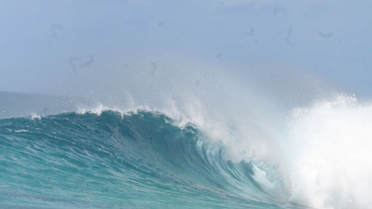 Photo of Others in Pupukea