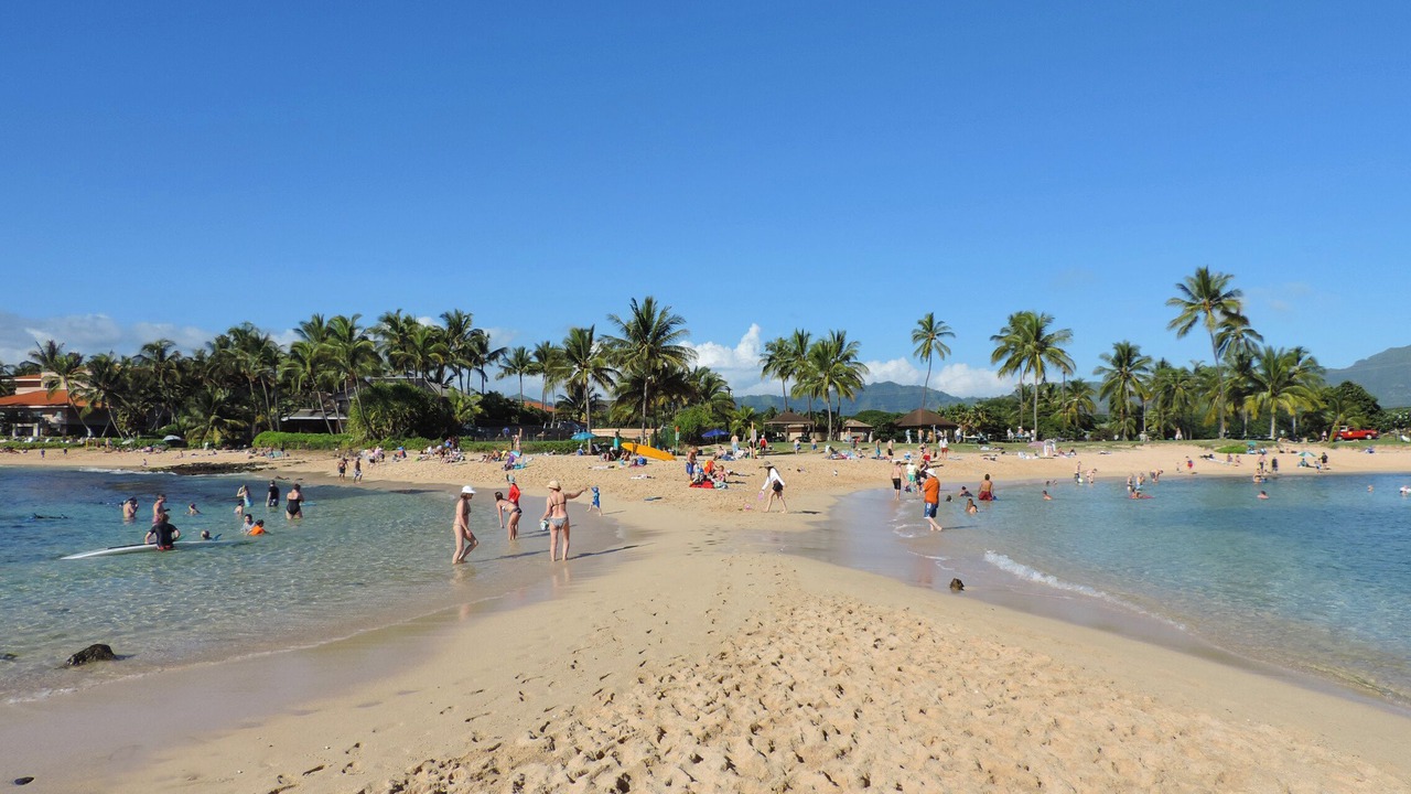 Photo of Others in Poipu