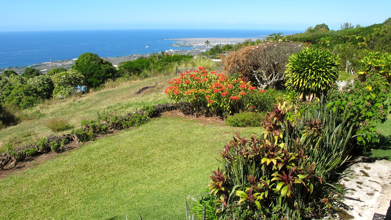 Photo of Others in Holualoa