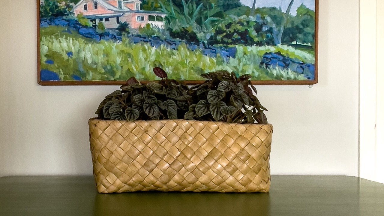 Photo of Others in Holualoa
