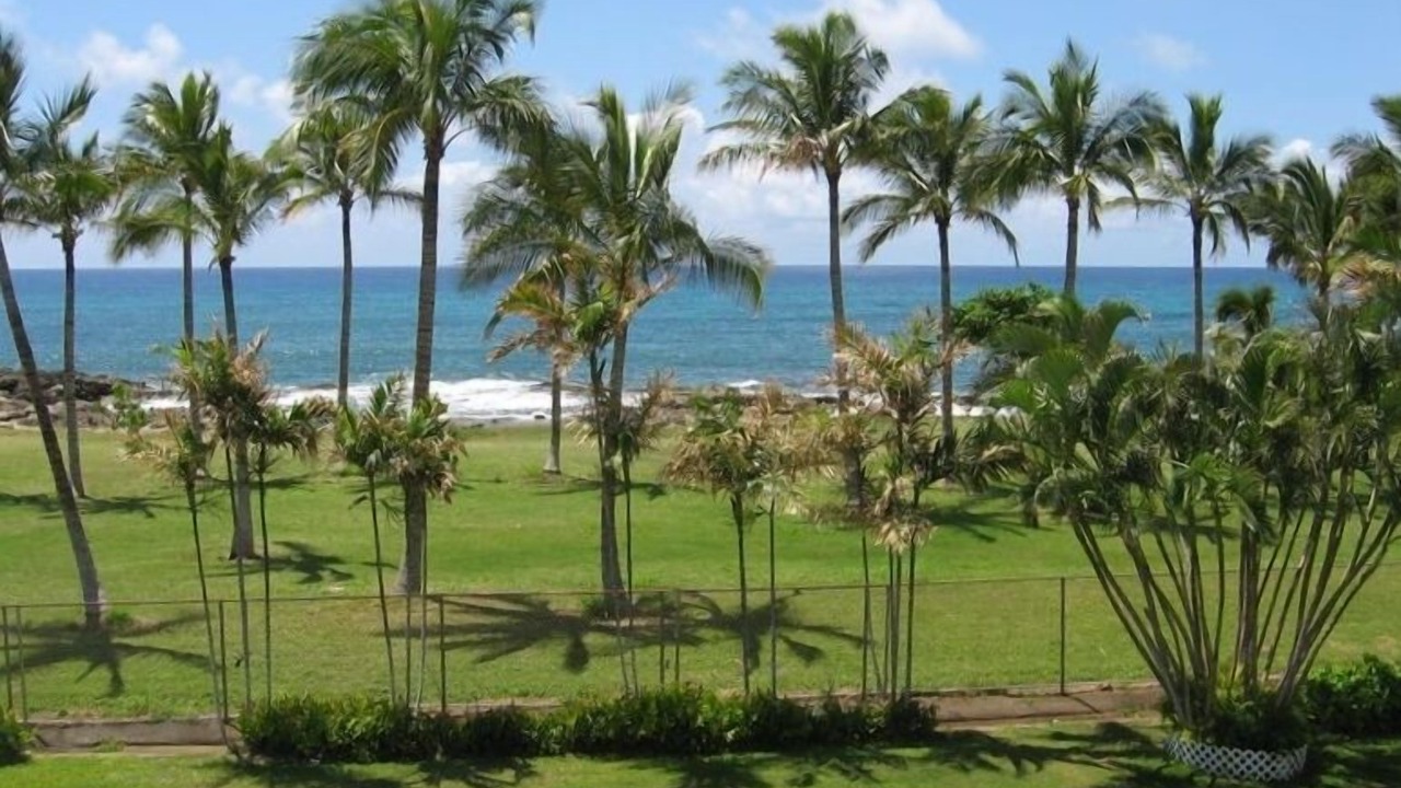 Photo of Others in Makaha