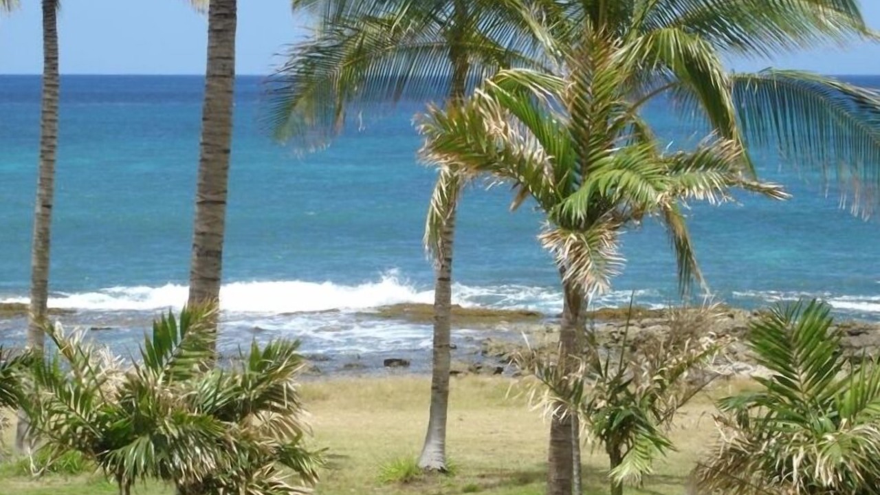 Photo of Others in Makaha