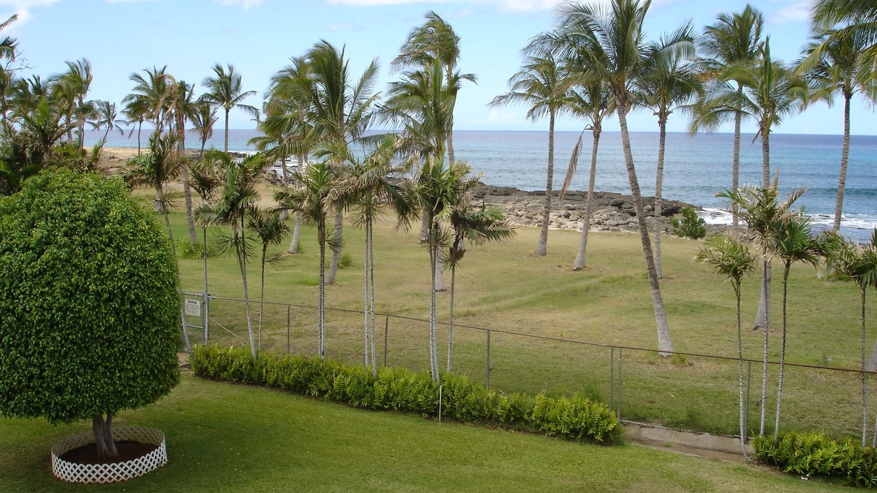 Photo of Others in Makaha