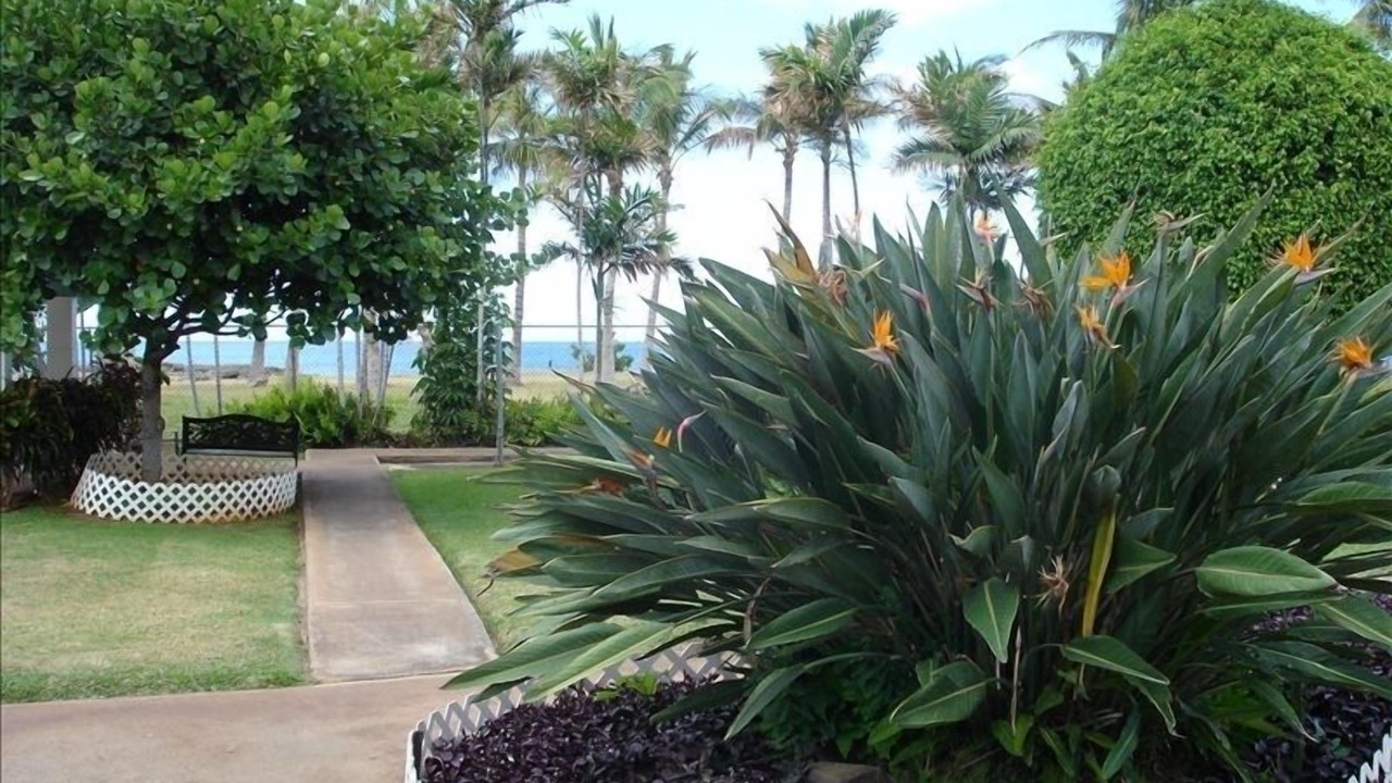 Photo of Others in Makaha