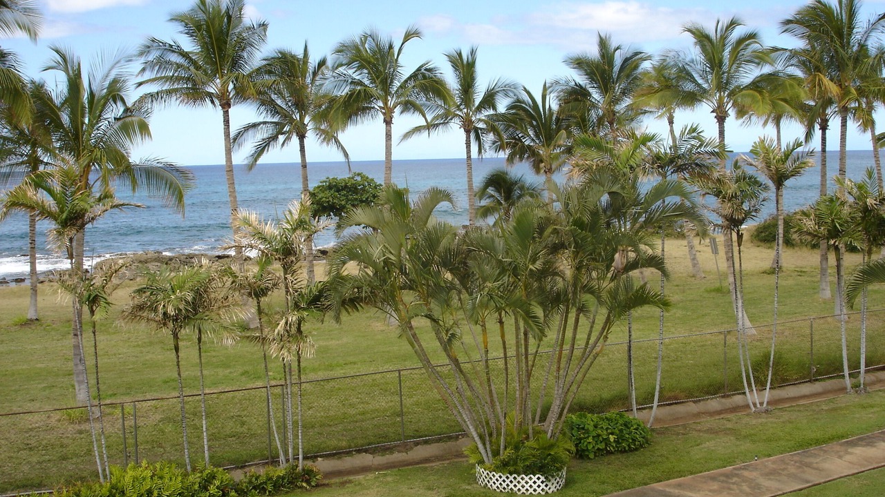 Photo of Others in Makaha
